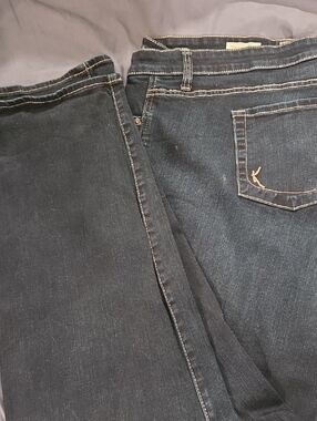 Kut From The Kloth Diana Skinny Jeans